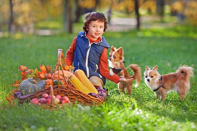 Lost When It Comes To Training Your Dog? Read These Tips!