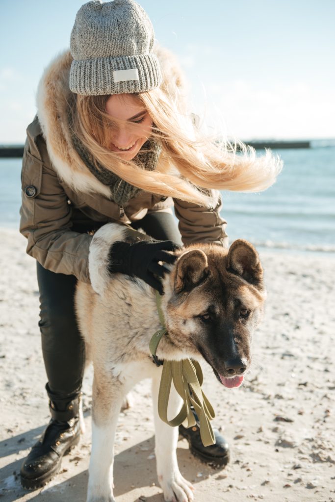 The Ultimate Guide to Puppy Training: Everything You Need to Know