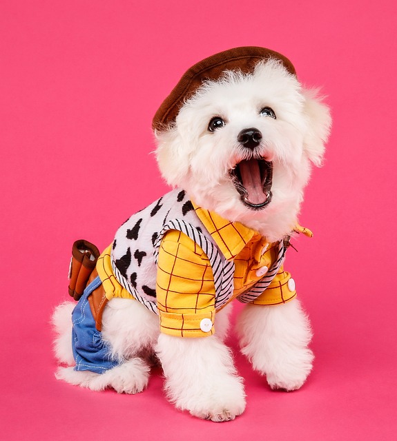 Is Your Dog A Trouble Maker? Read On For Some Great Tips!