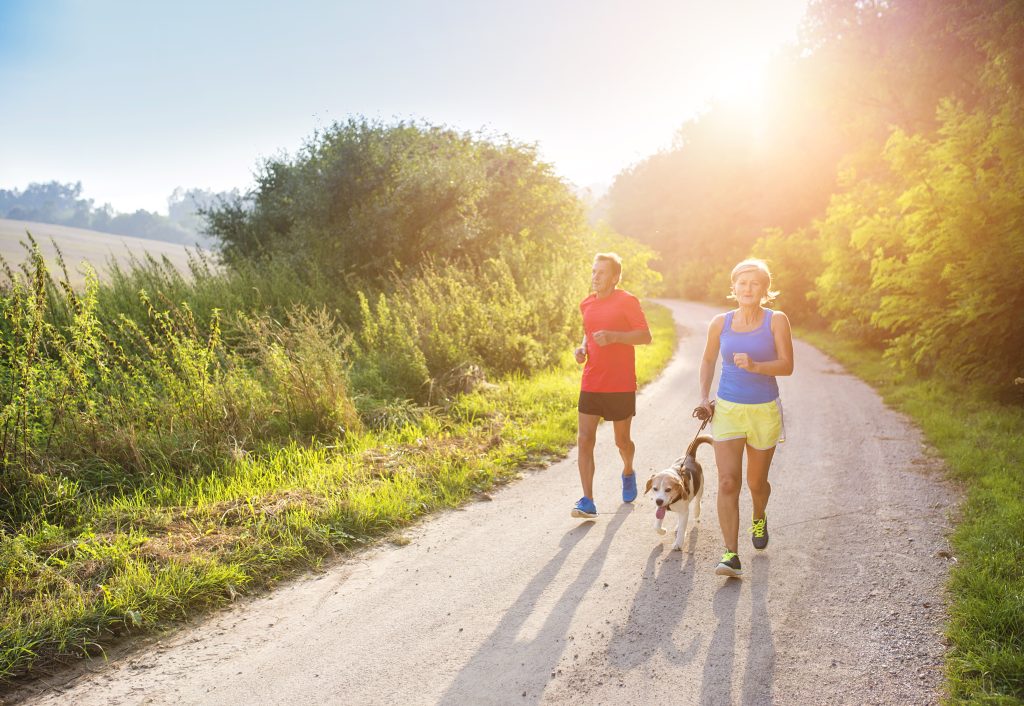 5 practical tips for Training Your Puppy: A Beginner’s Guide