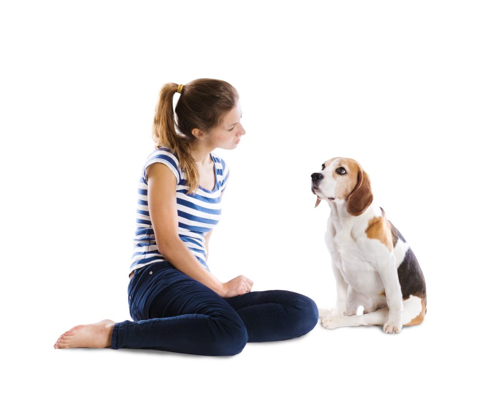 Mastering Obedience Training with Your Dog: The Best Techniques and Tips overview