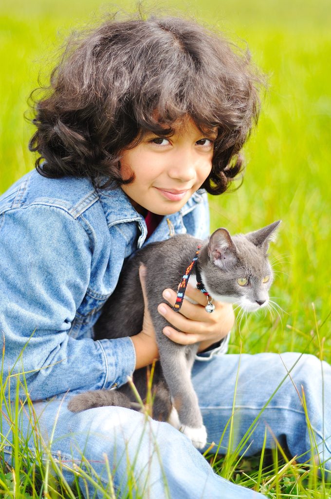 5 Easy Steps to Train Your Puppy and Make Them a Valuable Member of the Family explained