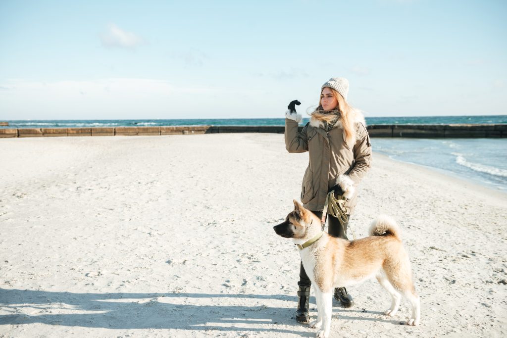 The Ultimate quick guide to Puppy Training: Everything You Need to Know