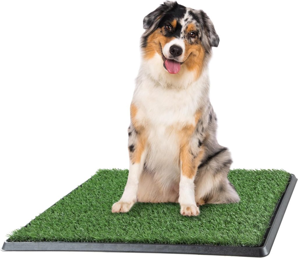 Artificial Grass Puppy Pee Pad for Dogs and Small Pets - 16x20 Reusable 3-Layer Training Potty Pad with Tray - Dog Housebreaking Supplies by PETMAKER