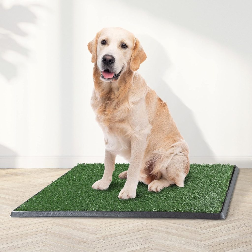 Artificial Grass Puppy Pee Pad for Dogs and Small Pets - 16x20 Reusable 3-Layer Training Potty Pad with Tray - Dog Housebreaking Supplies by PETMAKER