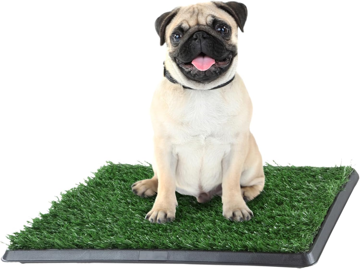 Artificial Grass Puppy Pee Pad Review