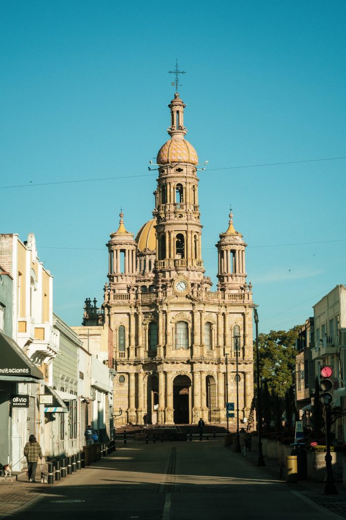 How To Train Your Dog With Clicker Training