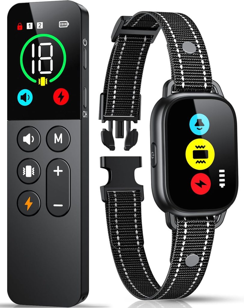 How To Train Your Dog With Clicker Training