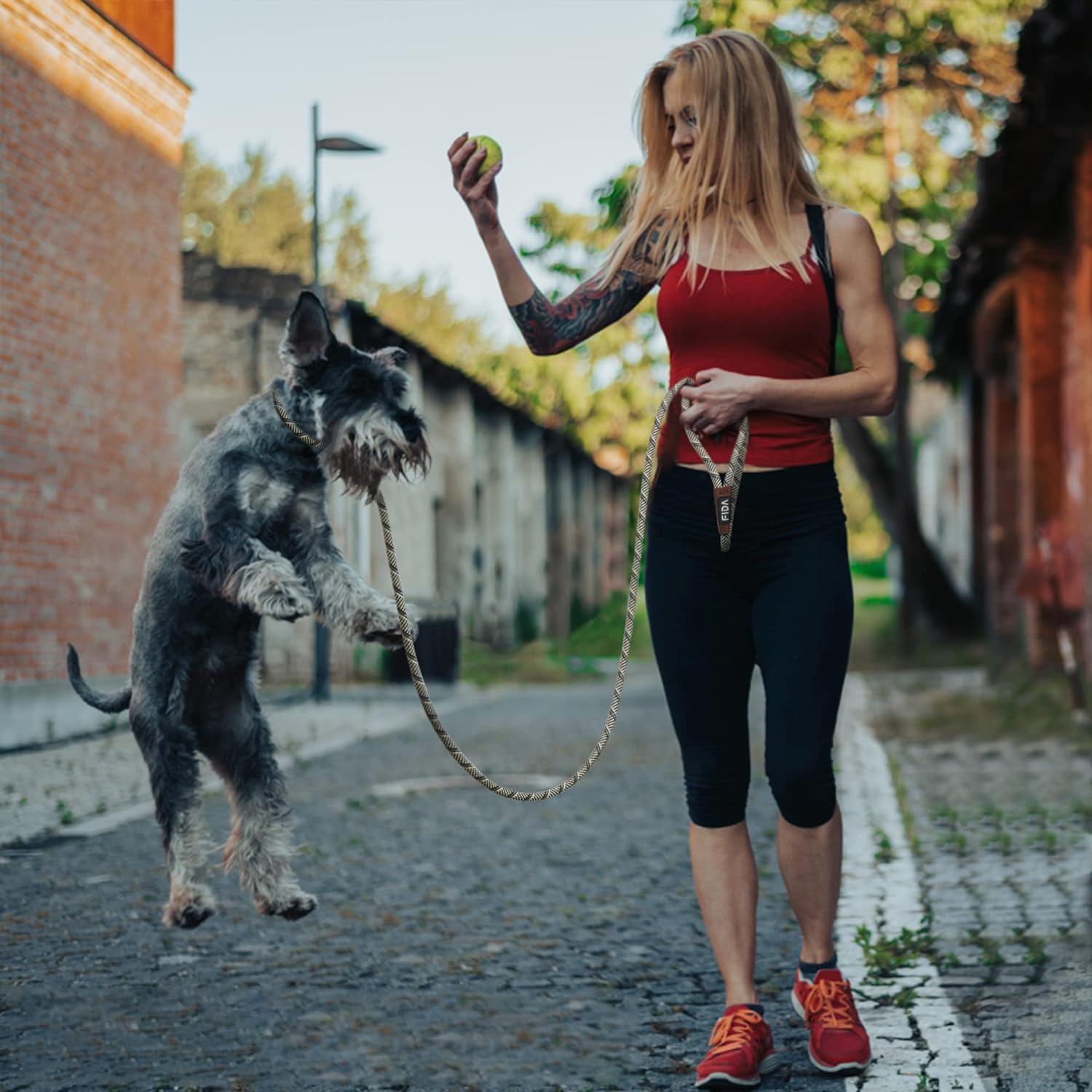 What is the best way to train puppy