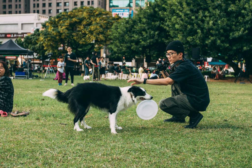 How To Teach A Puppy To Stay?