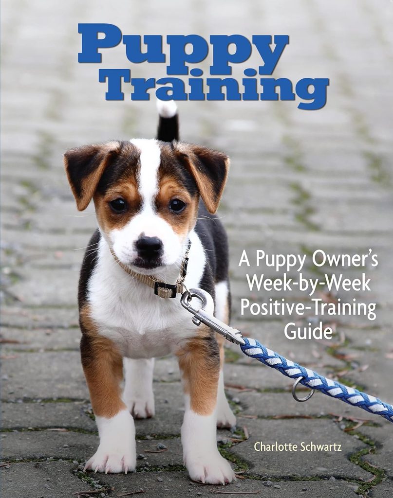 Puppy Training: A Review