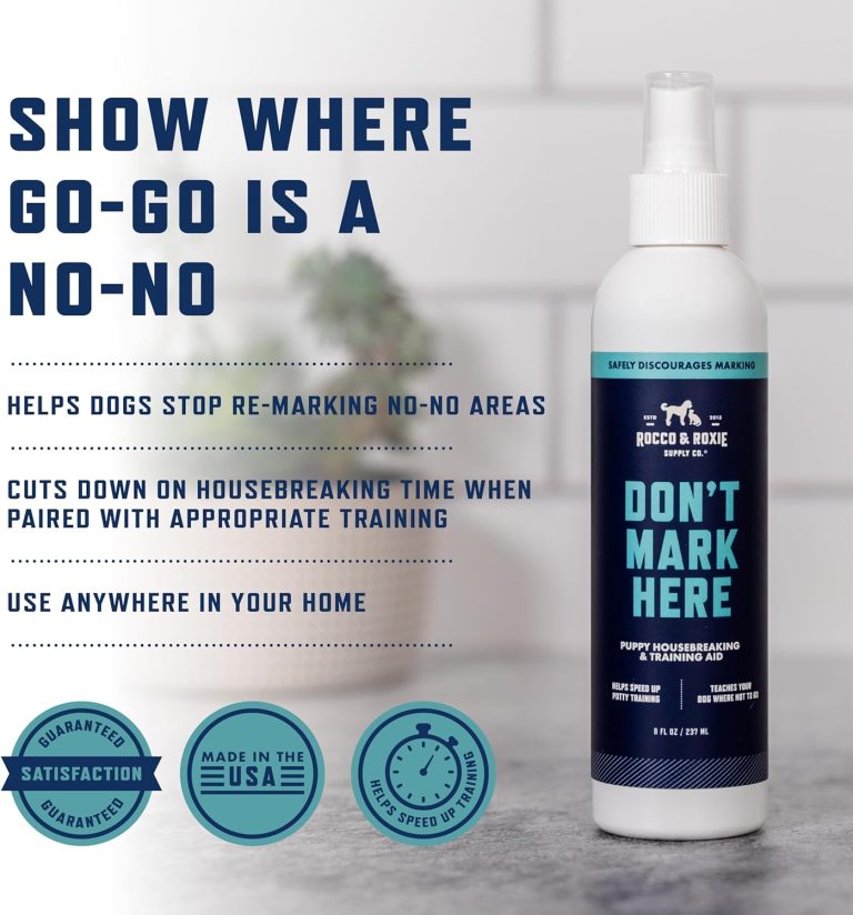 Puppy potty training guide illustration