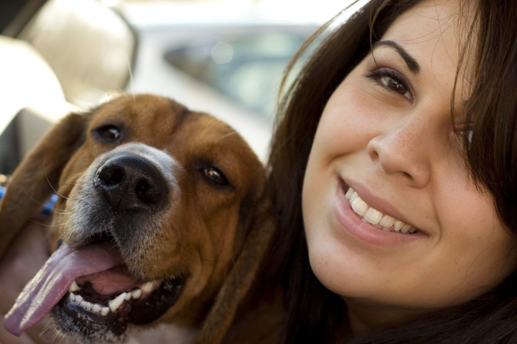 How can I use positive training techniques to train my dog?