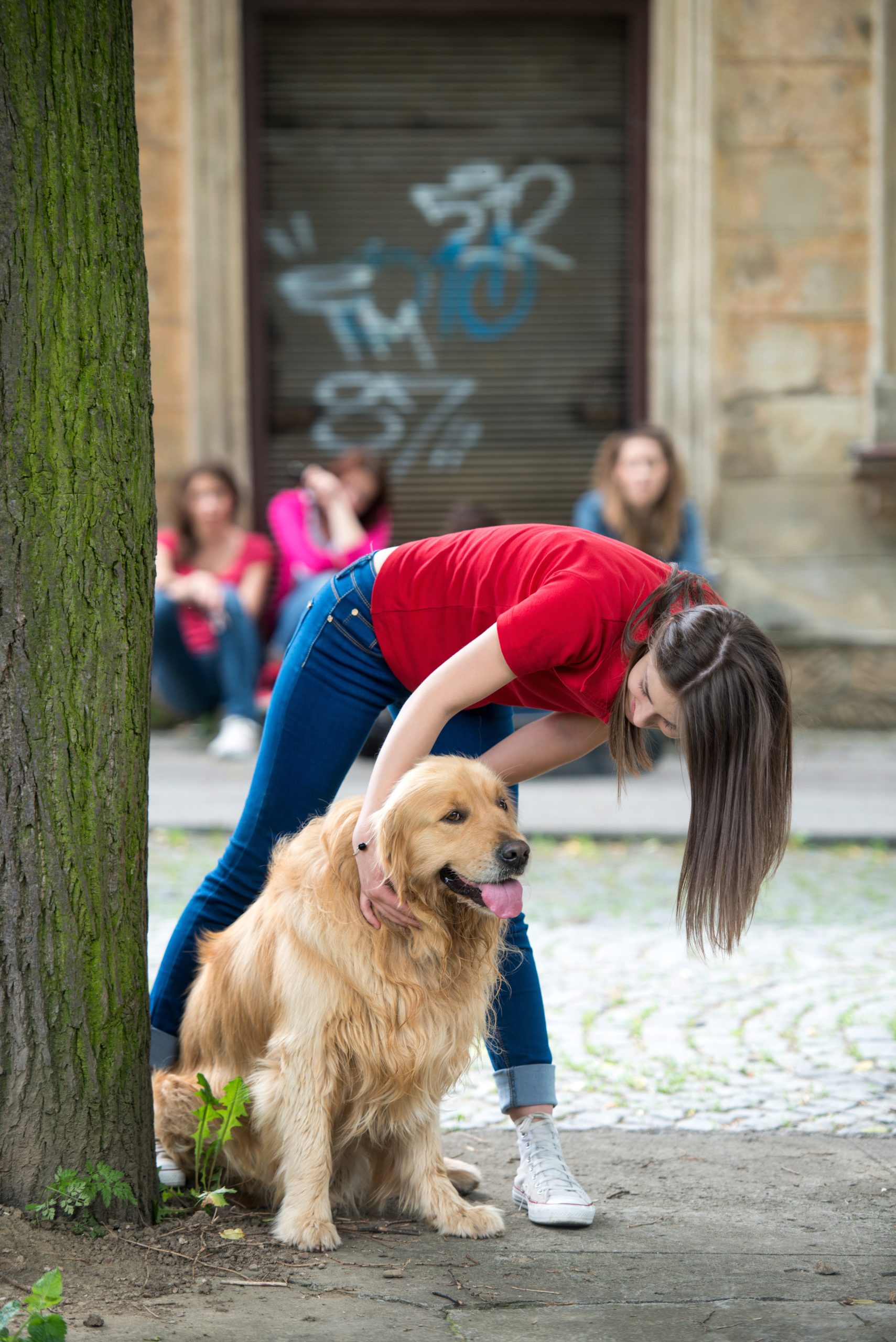 Potty Training 101: The Ultimate Guide to Housebreaking Your New Puppy