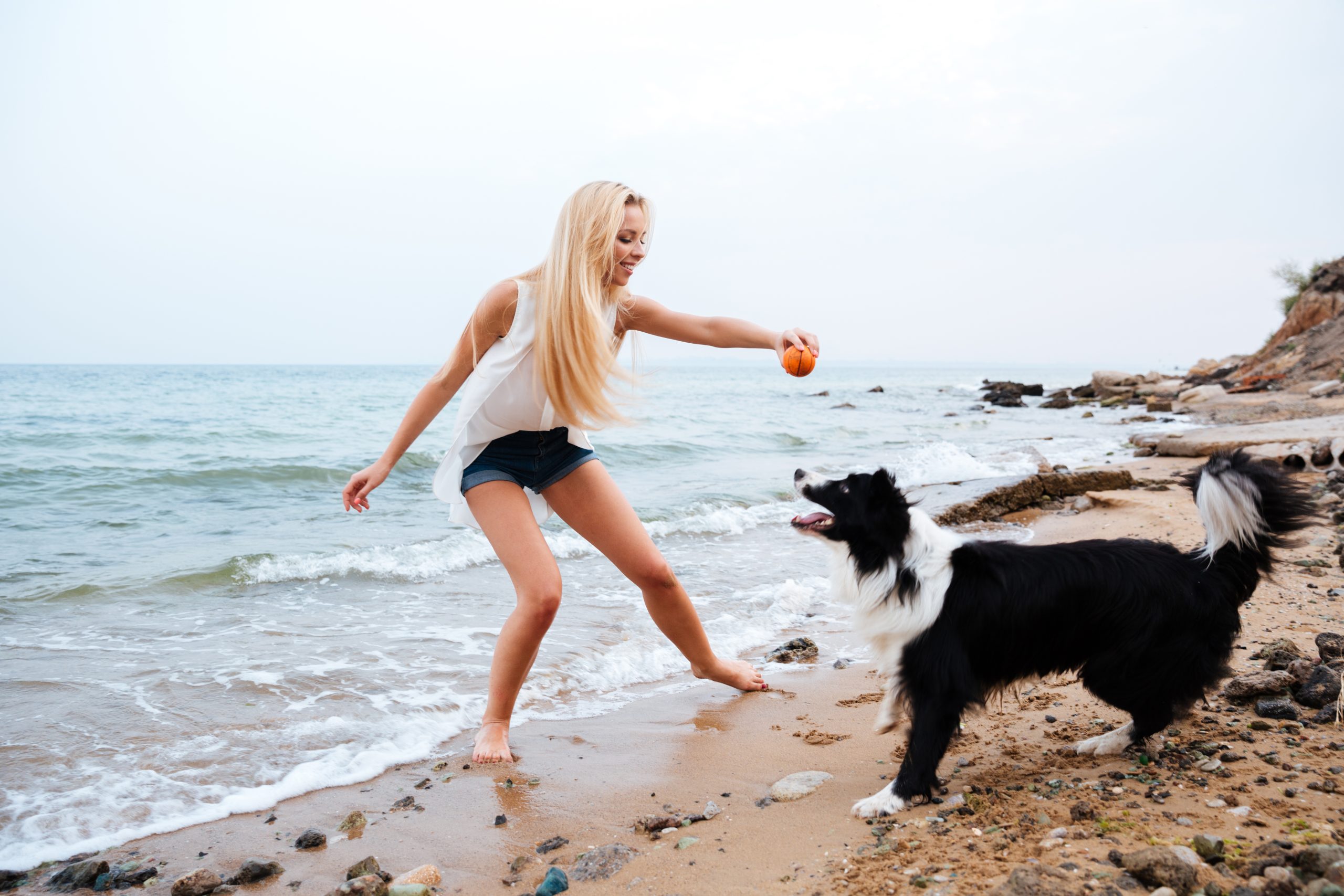 Train Your Dog Like a Pro: The Do’s and Don’ts of Effective Dog Training 2 graphicstock happy attractive young woman playing with dog and having fun on the beach r q0KH2x scaled