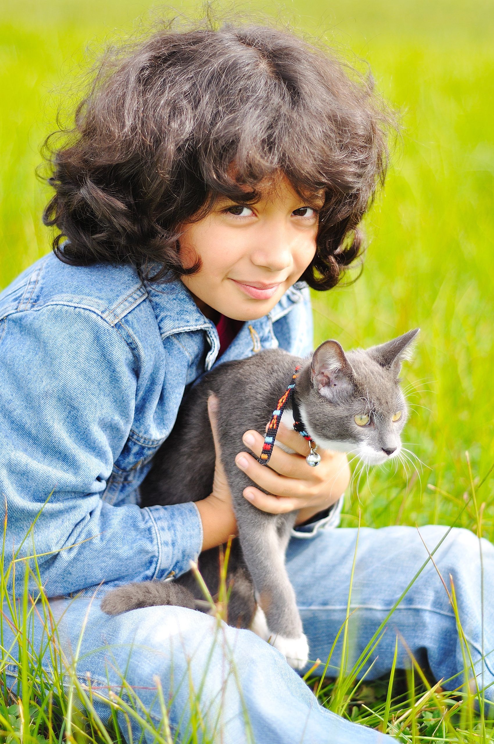 5 easy steps to train your puppy and picture