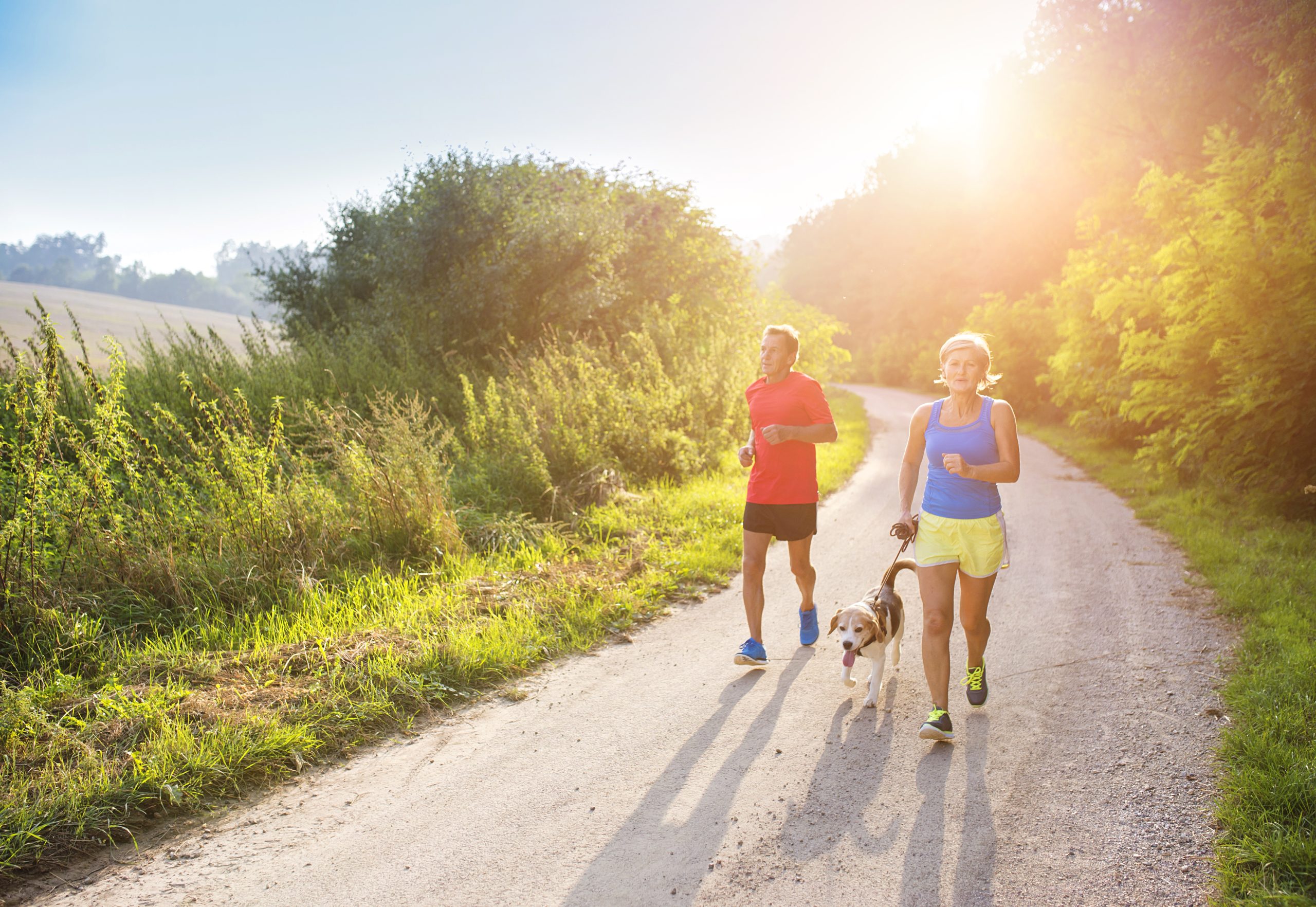 How many days per week should i train image