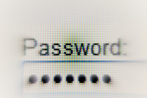 How to train your puppy