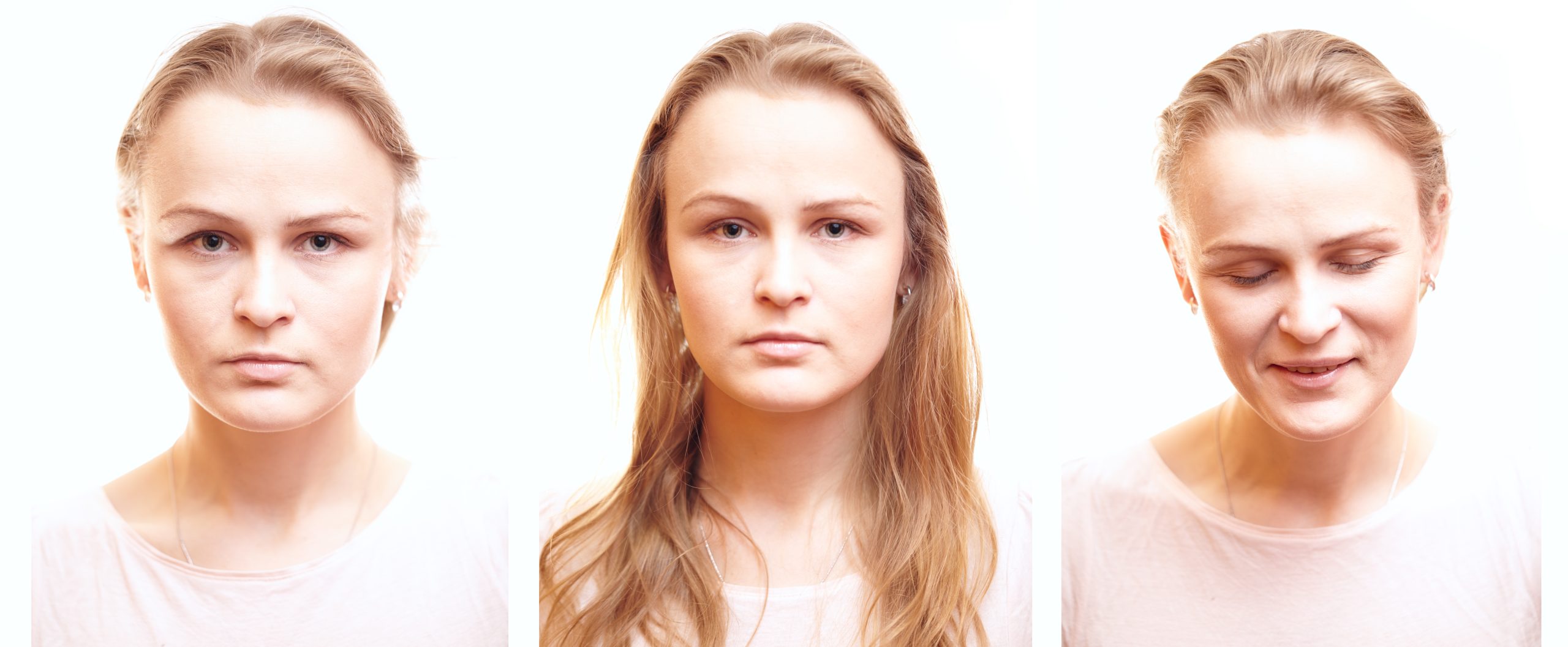 How to train your puppy in 7 days illustration