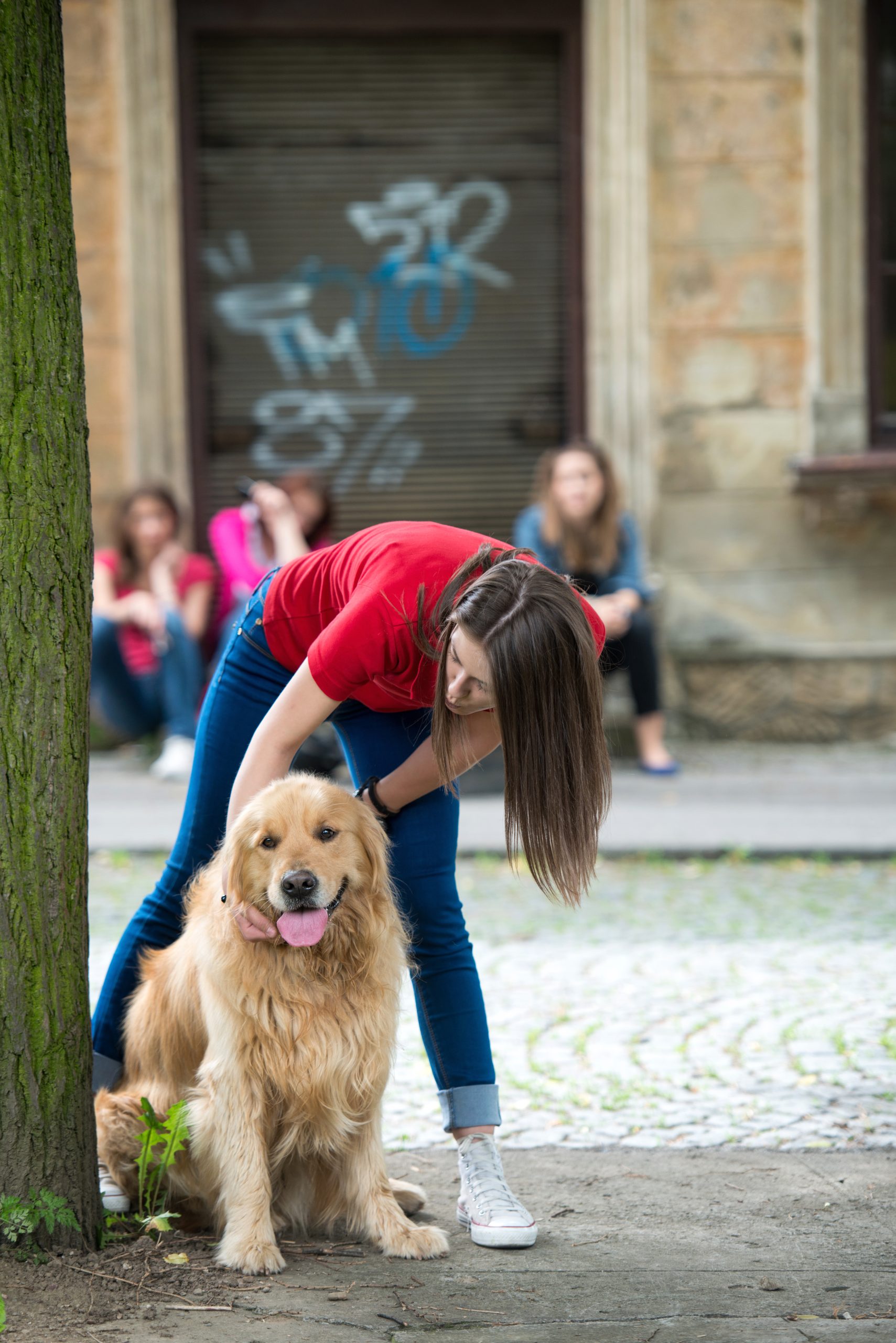 Indoor puppy training 101: the secret to raising