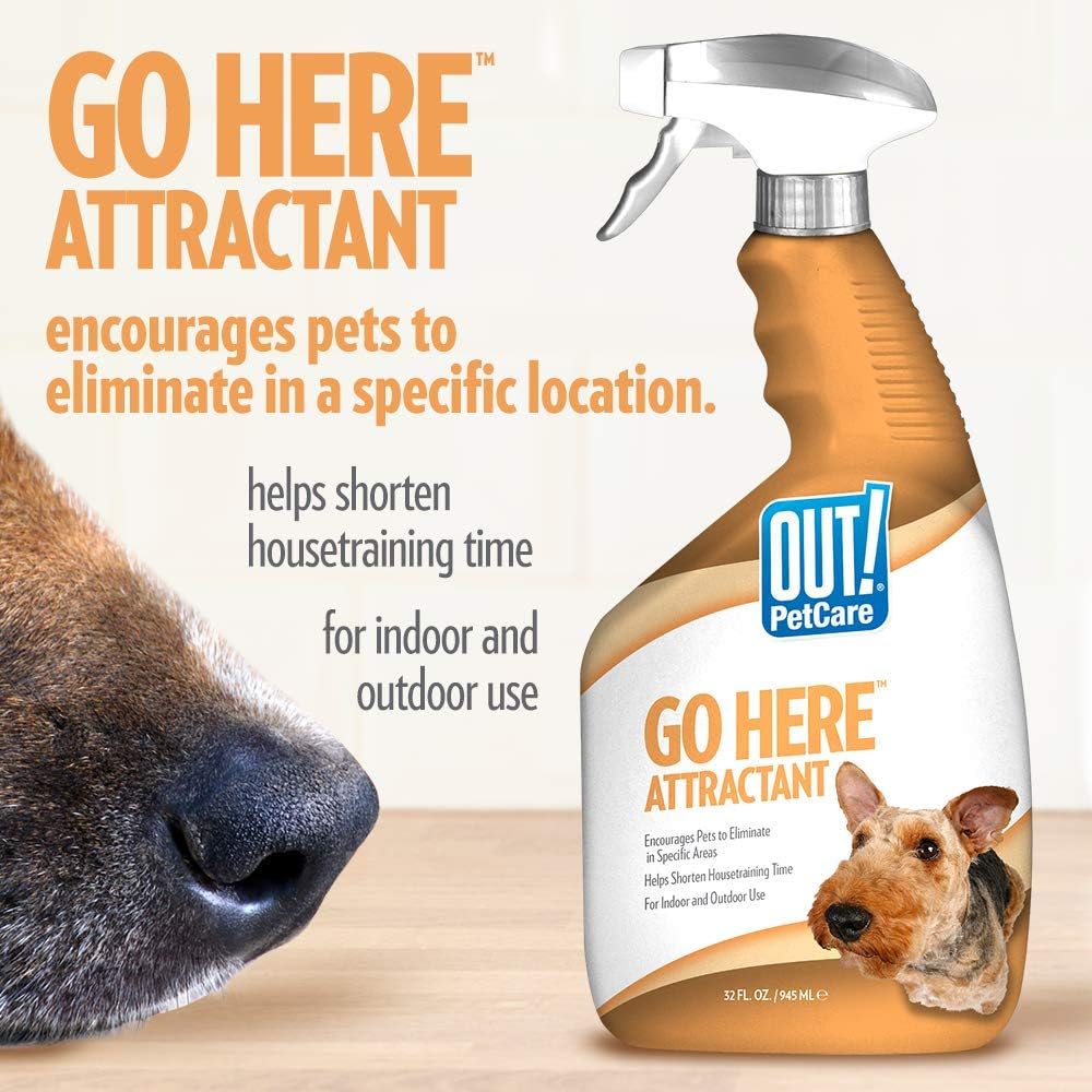 Out! petcare go here attractant review