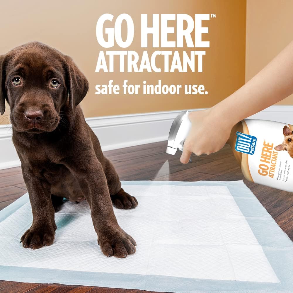 Out! petcare go here attractant review