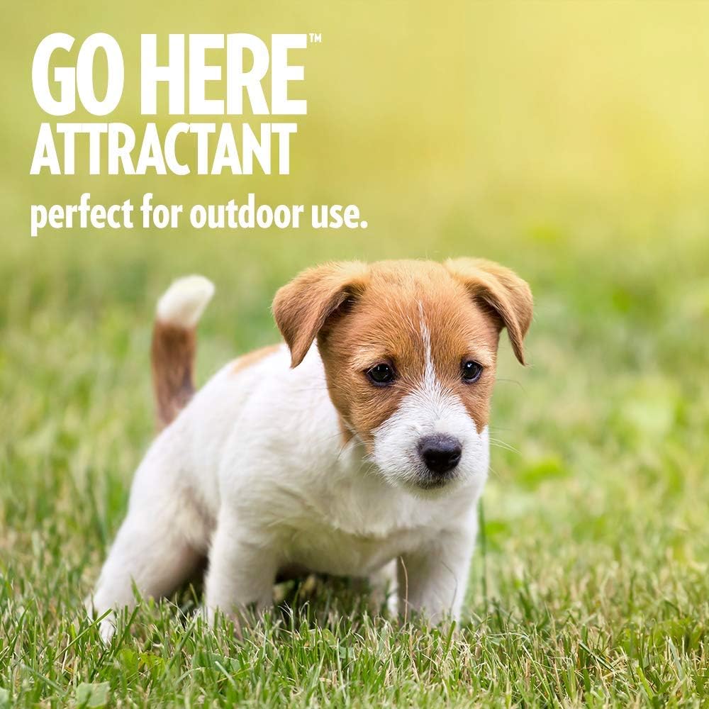 Out! petcare go here attractant review