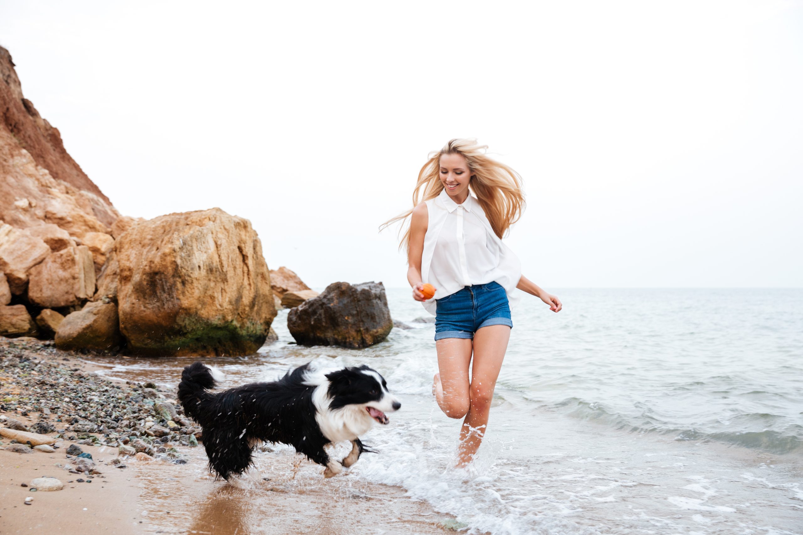 Puppy training methods compared: which one is right