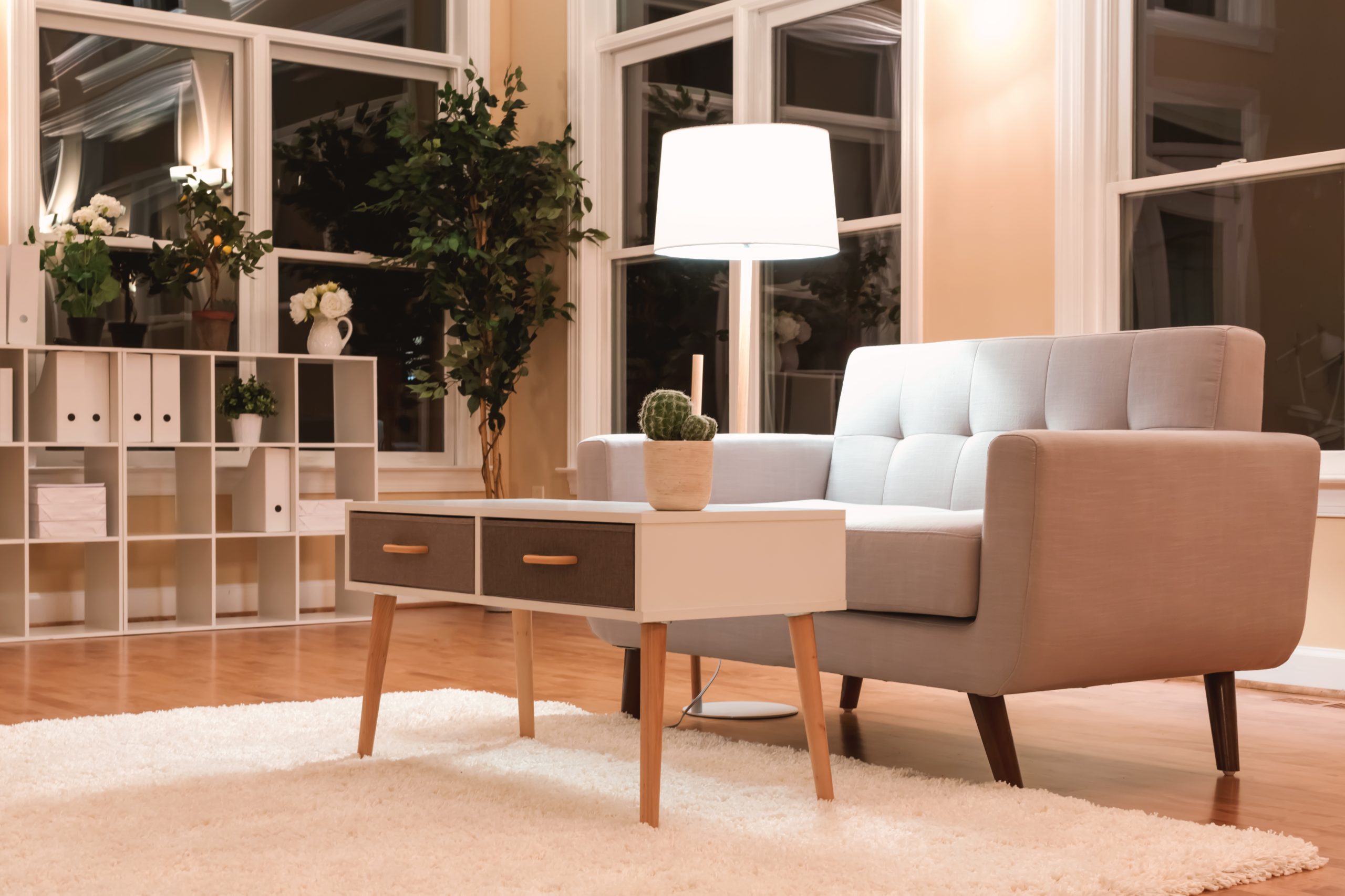 The ultimate guide to puppy training: everything you