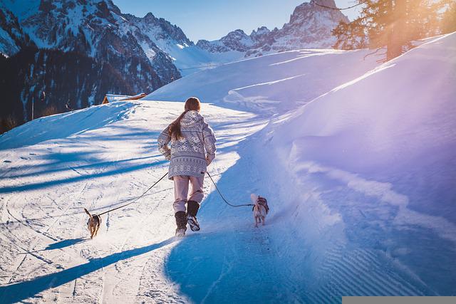 Training your dog tips that will work for