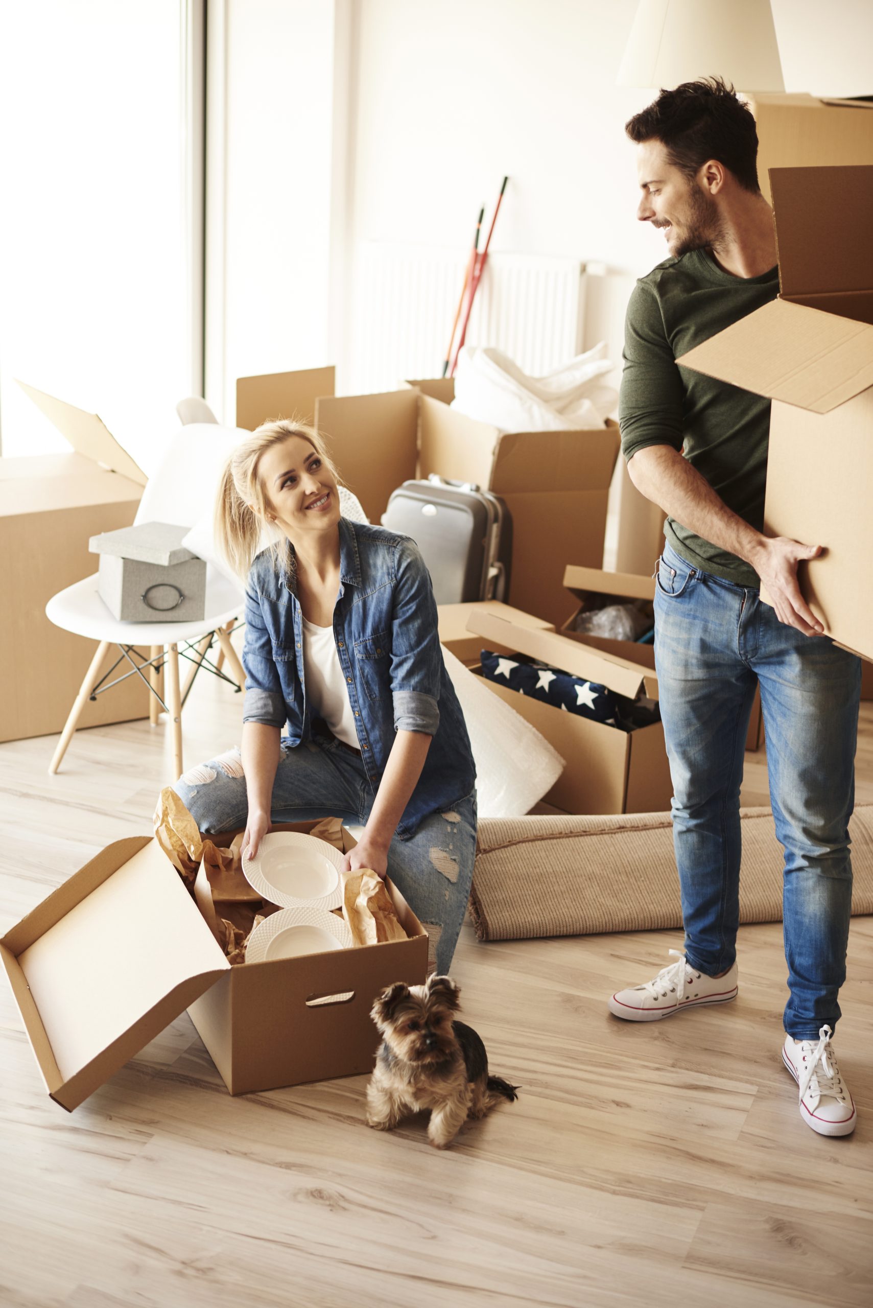 Training your puppy with positive reinforcement: the key