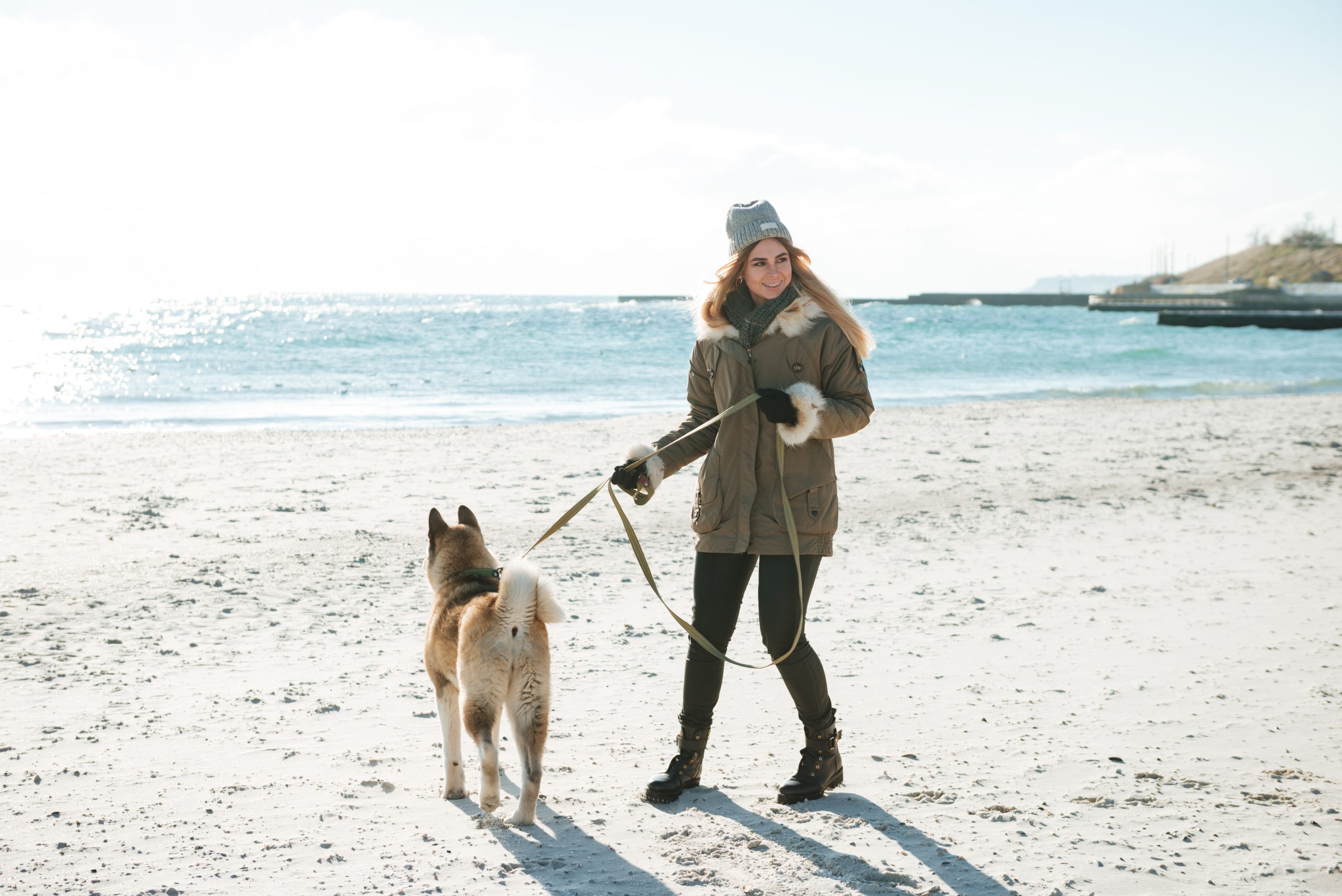 Puppy training made easy: the best techniques and visual