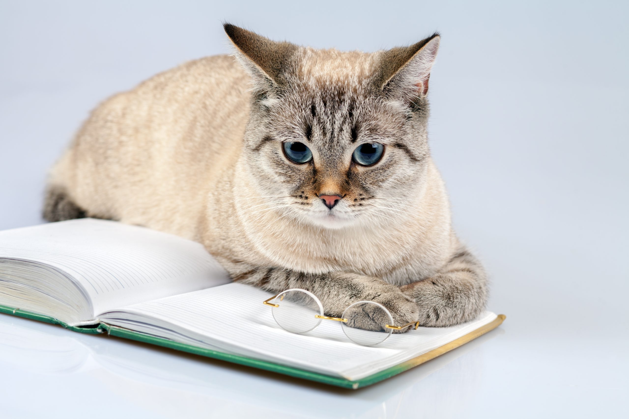 The truth about how many days per week photo